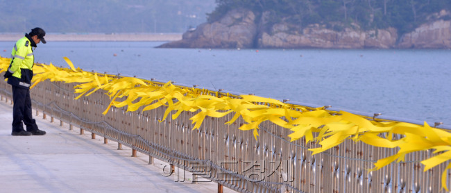 여객선 세월호 침몰 9일째인 24일 오전 전남 진도군 팽목항에 무사귀환을 바라는 노란리본들이 달려져 있다. 바람에 펄럭이는 노란리본 하나 하나에서 비통함과 고통이 전해져 온다.