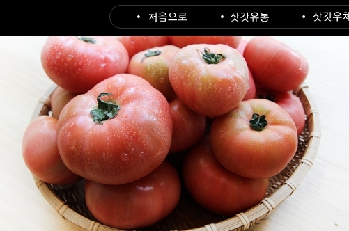 삿갓유통 19세 토마토