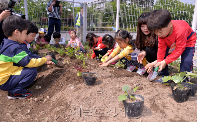 13일 오전 서울 성동구 서울숲 도시농업체험장에서 관내 20여개 어린이집 원아 300여명이 참여한 가운데 고추, 가지, 방울토마토등 8종 3,000본의 모종을 심는 모종심기 행사가 열렸다.<br />이번에 열린 모종심기 행사는 성동구가 자연을 접하기 어려운 도시 어린이들에게 농작물이 자라는 과정과 자연의 소중함을 일깨워주기 위해 마련되었다.<br />이상섭 기자. babtong@heraldcorp.com
13일 오전 서울 성동구 서울숲 도시농업체험장에서 관내 20여개 어린이집 원아 300여명이 참여한 가운데 고추, 가지, 방울토마토등 8종 3,000본의 모종을 심는 모종심기 행사가 열렸다.
이번에 열린 모종심기 행사는 성동구가 자연을 접하기 어려운 도시 어린이들에게 농작물이 자라는 과정과 자연의 소중함을 일깨워주기 위해 마련되었다.
이상섭 기자. babtong@heraldcorp.com
13일 오전 서울 성동구 서울숲 도시농업체험장에서 관내 20여개 어린이집 원아 300여명이 참여한 가운데 고추, 가지, 방울토마토등 8종 3,000본의 모종을 심는 모종심기 행사가 열렸다.
이번에 열린 모종심기 행사는 성동구가 자연을 접하기 어려운 도시 어린이들에게 농작물이 자라는 과정과 자연의 소중함을 일깨워주기 위해 마련되었다.
이상섭 기자. babtong@heraldcorp.com