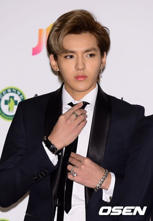 크리스(KRIS/가수/EXO/EXO-M)
인기 아이돌 엑소(EXO)의 중국인 멤버 크리스가 SM엔터테인먼트를 상대로 계약 해지 소송을 청구한 가운데 중국 언론이 슈퍼주니어 전 멤버 한경과 비슷한 원인일 것으로 추측하고 있다.