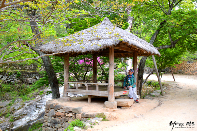 손님을 맞이하던 대봉대
