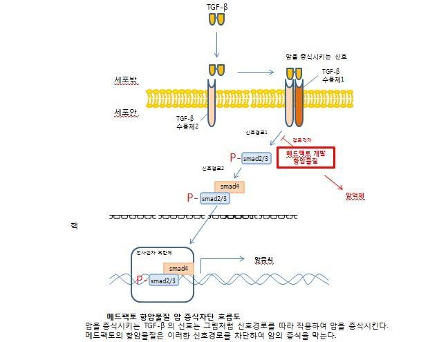 ▲메드팩토(사진=테라젠이텍스)