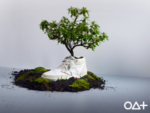 네덜란드 브랜드 오트 슈즈(OAT Shoes)는 ‘꽃피는 운동화’ 로 유명하다. 100% 생분해성 물질로 제작되었기 때문에 다 신고 나서 버릴 때 그냥 흙에묻으면 그대로 자연으로 돌아간다. 특히 이 운동화에는 씨앗이 들어있어, 운동화가 퇴비가 되면서 나무가 자란다고 한다.
오트 슈즈의 예처럼 친환경 신발은 다양한 재활용 및 천연재료를 사용해 환경보호에 앞장서고 있다.