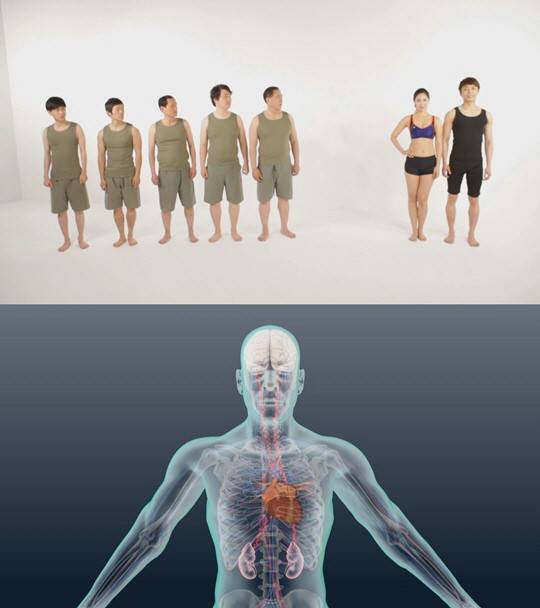 ▲ 비만의 역설