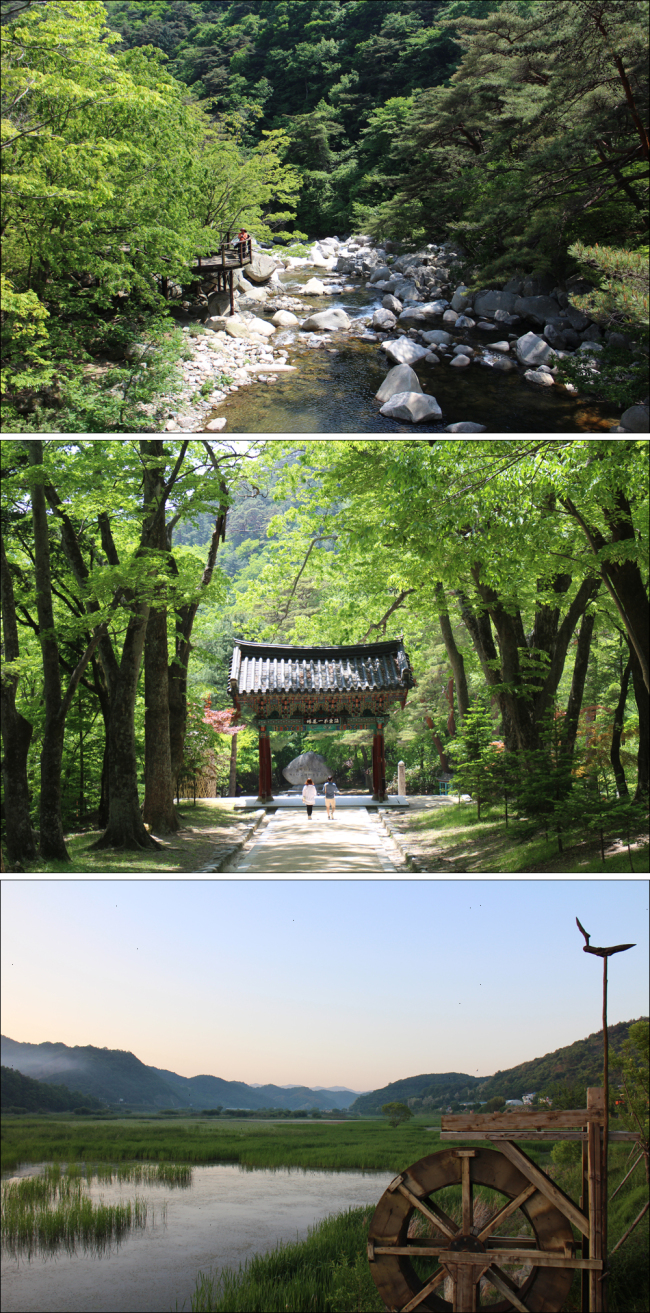 5월말 경남 합천은 소리가 멈춘 도시다. (사진 위부터) 소리길, 해인사, 정양늪 등 가는 곳마다 들리는 것은 흐르는 물소리, 나뭇잎을 스치는 바람소리, 지저귀는 새소리 뿐이다.