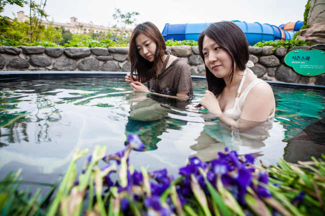국내 최대의 온천 테마파크인 설악 워터피아(www.seorakwaterpia.co.kr)가 단오(오는 6월2일)를 맞아 6월 한달 간 창포탕을 운영한다. 머리결과 피부에 윤기가 나도록 해주는 창포는 전통적으로 단오에 여인들이 머리를 감고 목욕할 때 쓰던 식물이다. 설악 워터피아의 창포탕은 자연 환경을 고려하여 천연 창포를 입욕제로 사용했다.