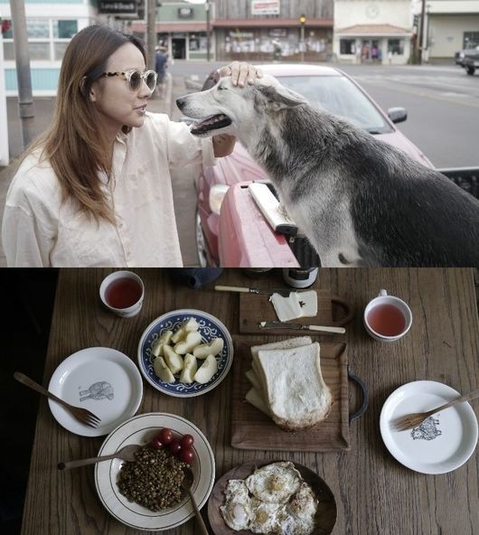 ▲이효리 블로그 렌틸콩 요리(사진=이효리 블로그)