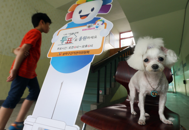 A dog awaits its voting owner outside the voting room in Seoul, Wednesday.