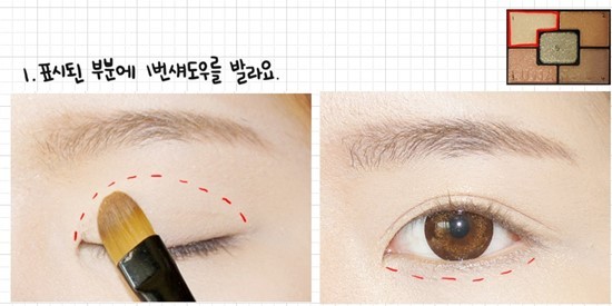 Apply shadow No. 1 (a light-brown color) on your eyelid and underline.