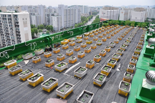 서울 노원구 한신아파트 옥상텃밭