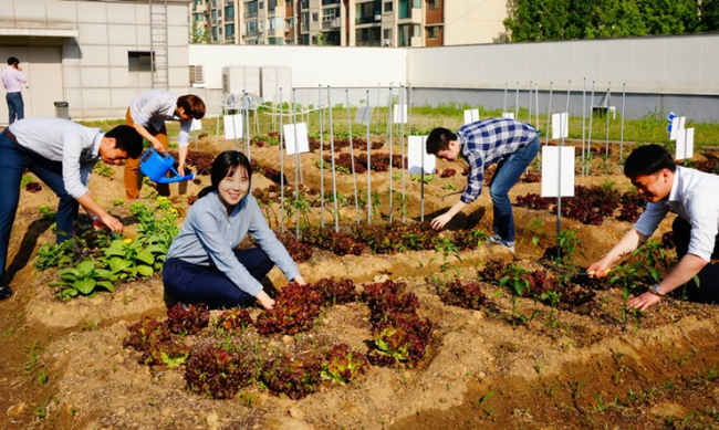 현대백화점 본사직원들이 옥상에 직접 가꾼 텃밭