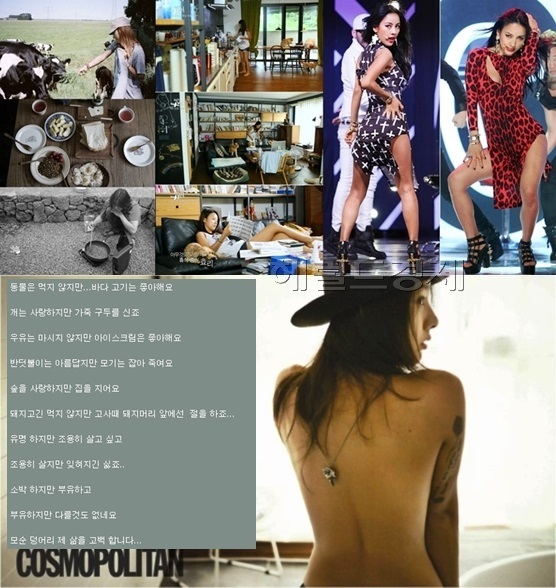 ▲이효리 모순덩어리 삶 이효리 블로그 (사진=이효리 블로그/코스모폴리탄/방송캡처)