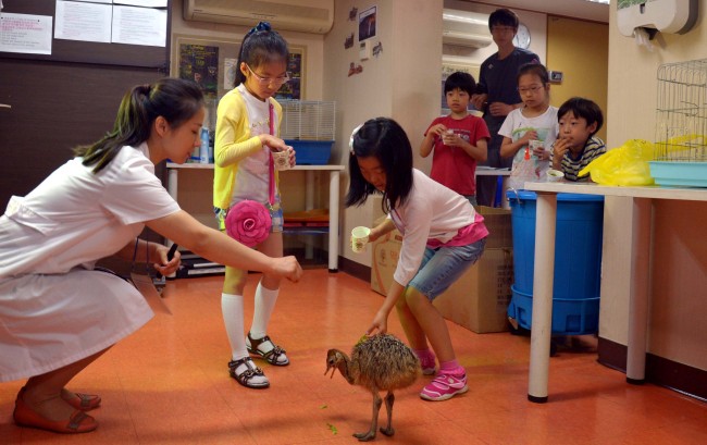 Children participate in a program teaching them the importance of life by having them take care of a baby ostrich at Herald Project Dream Big, hosted by Herald Corporation, in Pungnap-dong, southern Seoul, Sunday.   Kim Myung-sub/The Korea Herald