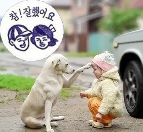 ▲색다른 칭찬법(사진=인터넷 게시판)