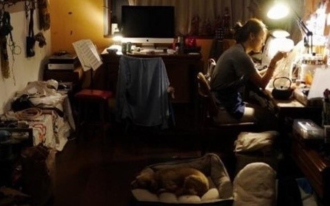 ▲이효리 제주집 고충 이효리 블로그(사진=이효리 블로그)