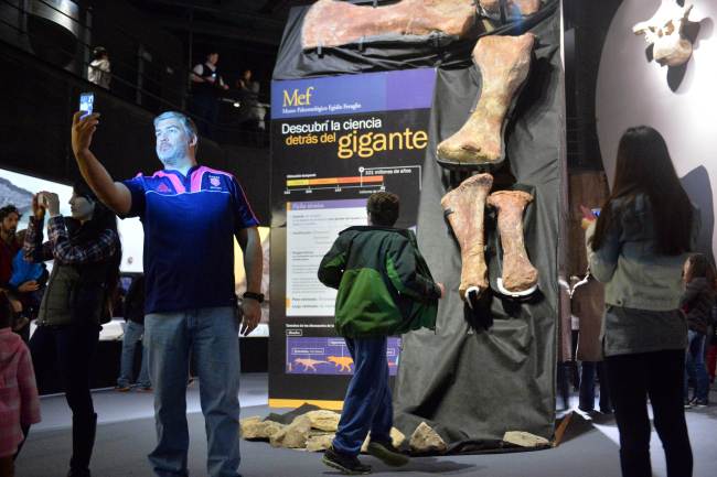 <YONHAP PHOTO-0662> To go with Science-Argentina-paleontology,FEATURE by Gustavo Saita ..Visitors look at fossils of what may be the largest dinosaur ever -- a creature is believed to be a new species of Titanosaur, a long-necked, long-tailed sauropod that walked on four legs and lived some 90 million years ago in the Cretaceous Period, during an exhibition at the Egidio Feruglio Museum in Trelew, in the Argentine Patagonian province of Chubut, some 1,300 km south of Buenos Aires, on June 28, 2014. The fossils were accidentally discovered in 2011 by a farm worker in a remote area in the Patagonia. Excavations launched in January 2013 also uncovered complete bones of the tail, torso and neck -- which will allow for a fuller picture of what the entire animal looked like when alive. AFP PHOTO / MAXI JONAS../2014-07-05 12:27:37/ <저작권자 ⓒ 1980-2014 ㈜연합뉴스. 무단 전재 재배포 금지.>
Visitors look at fossils of what may be the largest dinosaur ever ― a creature is believed to be a new species of Titanosaur, a long-necked, long-tailed sauropod that walked on four legs and lived some 90 million years ago in the Cretaceous Period, during an exhibition at the Egidio Feruglio Museum in Trelew, south of Buenos Aires, Saturday.   AFP-Yonhap