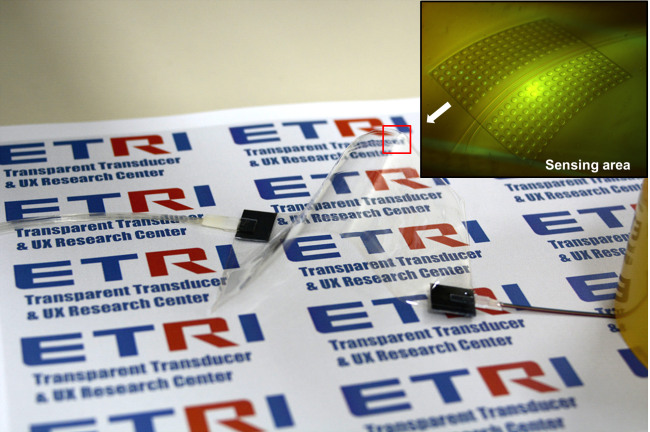 A flexible, transparent touch sensor, with the inset photo showing its surface enlarged by a microscope.   ETRI