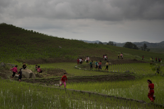 North Korean schoolchildren work in a rice paddy southeast of Pyongyang. For more than four decades, farming in the North was characterized by heavy use of mechanization swiftly followed by chronic fuel and equipment shortages and stopgap policies.   AP-Yonhap
