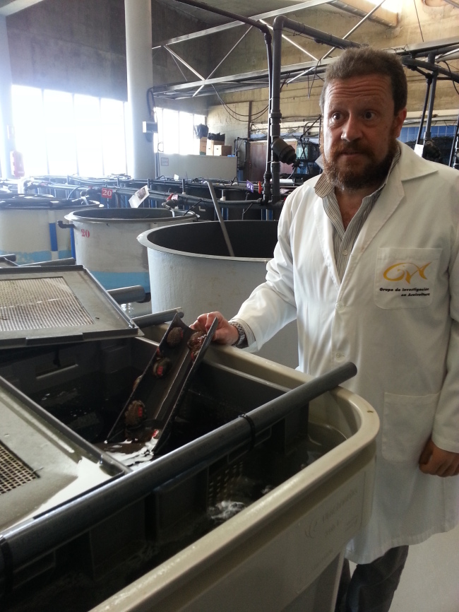 Rafael Kines, senior researcher at the fish farming institute at the University of Las Palmas of Gran Canaria, explains to the Korean press about fish farming Wednesday. The school will cooperate with South Korean experts in research and development of various maritime studies and businesses.