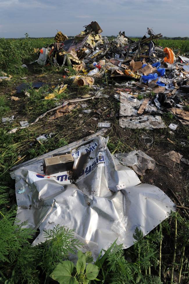 Wreckage from Malaysia Airlines flight MH17 after it crashed into a sunflower field near the village of Rassipnoe, in rebel-held east Ukraine.   AFP-Yonhap