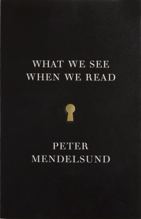 “What We See When We Read” by Peter Mendelsund.   Vintage Original