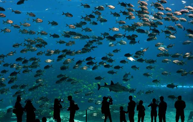 This photo shows visitors looking at the aquarium inside the Chimelong Ocean Kingdom in Hengqin Island in the city of Zhuhai, Guangdong province.(AFP-Yonhap)