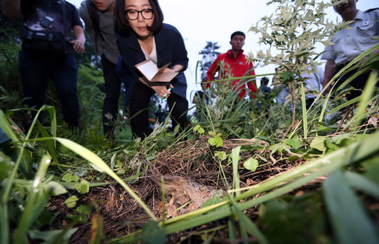 The plum orchard in Suncheon, South Jeolla Province, where Yoo Byung-eun's body was found in June. (Yonhap)