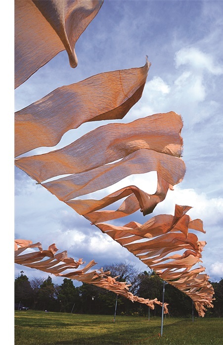 Fabric is dried after being naturally dyed with persimmons.   Korea Bojagi Forum