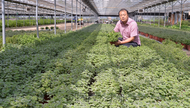 조강희 허브다섯메대표 인터뷰.<br />이상섭 기자. babtong@heraldcorp.com
조강희 허브다섯메대표 인터뷰.
이상섭 기자. babtong@heraldcorp.com