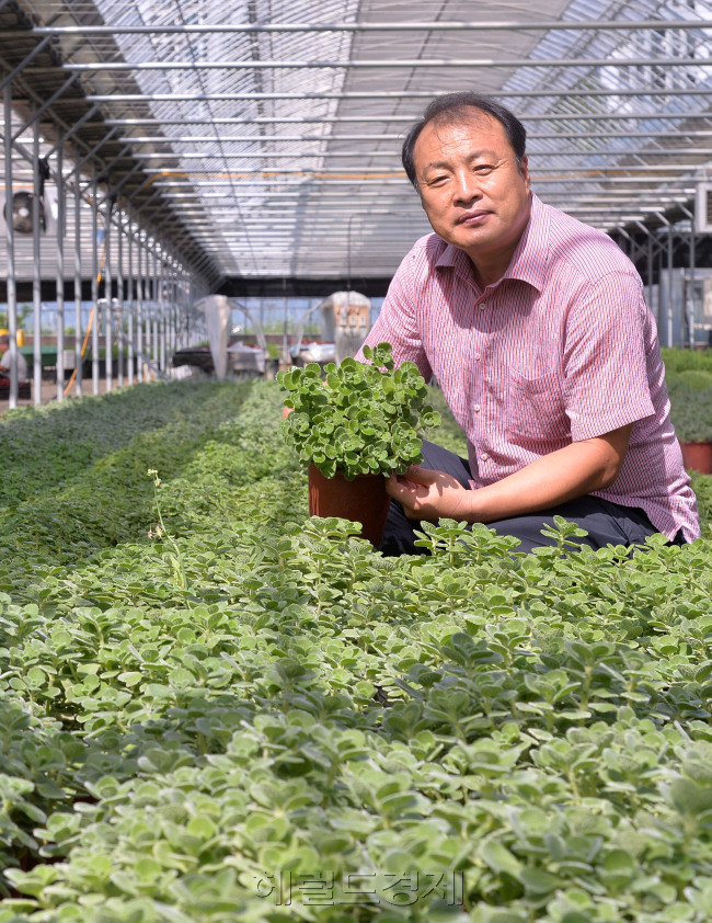 조강희 허브다섯메대표 인터뷰.<br />이상섭 기자. babtong@heraldcorp.com
조강희 허브다섯메대표 인터뷰.
이상섭 기자. babtong@heraldcorp.com