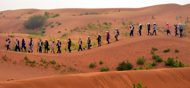Korean Air employees on Wednesday plant trees near the Kubuchi Desert in China as part of the company’s Global Planting Project.   Kim Myung-sub/The Korea Herald