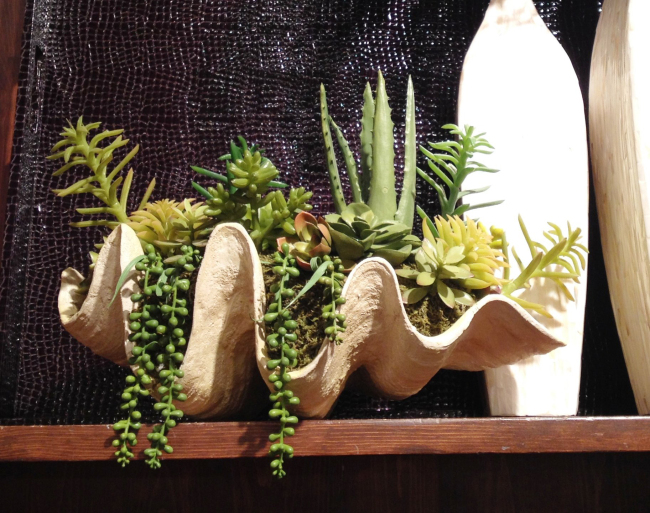 Easy-to-make miniature landscapes, or terrariums, make for interesting accessories in just about any room in your home.  MCT