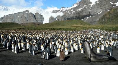 While normally only found in Antarctica, penguins are the focus of this photograph taken in the Arctic Circle that is displayed in “The Beyond Reality” exhibition, part of this year’s Korean International Art Fair at Coex in southern Seoul. (Irish Embassy)