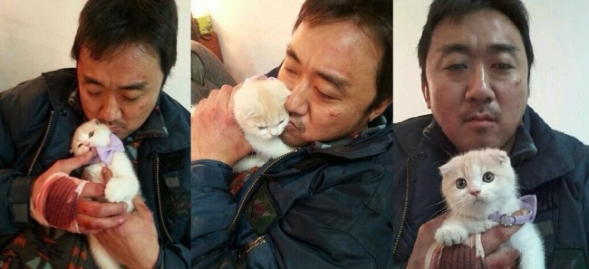 Actor Ma Dong-suk palys with a kitten between the scenes for film "Norigae." (Ma Dong-suk's Twitter)