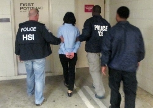 [사진= HSI]