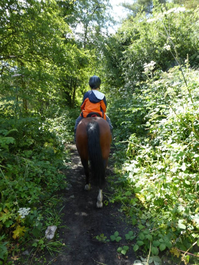 Horse riding lessons are roughly an hour and a half from the Gower Peninsula in South Wales, where you can find the beautiful Brecon Beacons. (Samantha Feuss/MCT)