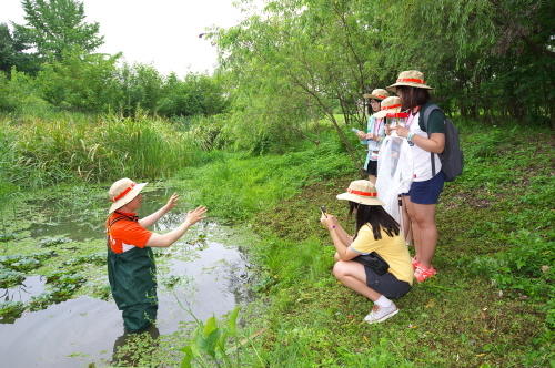 College students visit a wetland in Yangsuri district, Gyeonggi Province, in August. The event, dubbed the Eco Dive, convened to celebrate Korea’s hosting of the 12th meeting of members of the Convention on Biological Diversity.