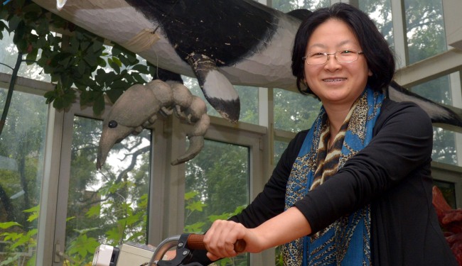 Maeng Ji-youn, a director of the Seoul-based Korean Federation for Environmental Movements, poses for a photo before an interview with The Korea Herald at her office in Seoul this week.   Kim Myung-sub/The Korea Herald