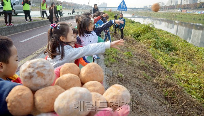 광진구는 30일 오전 중랑천 체육공원에서 광진 녹색거리 한마당 행사를 갖고 아이들이 하천을 정화하는 EM흙공을 던지고 있다.<br />김명섭 기자 msiron@heraldcorp.com
광진구는 30일 오전 중랑천 체육공원에서 광진 녹색거리 한마당 행사를 갖고 아이들이 하천을 정화하는 EM흙공을 던지고 있다.
김명섭 기자 msiron@heraldcorp.com