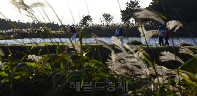 [헤럴드경제=제주ㆍ박해묵 기자] 2014 한국프로골프(KPGA) 코리안투어 헤럴드ㆍKYJ 투어챔피언십이 30일부터 나흘간 제주 서귀포시 롯데스카이힐 골프장 힐ㆍ오션 코스(파72ㆍ6989야드)에서 펼쳐진 가운데 최종라운드가 열리고 있는 2일 오후 챔피언조에 속한 선수들이 14번홀에서 퍼팅을 하고 있다.
2일 오후 억새가 상하좌우로 춤을 출 만큼 강풍이 부는 가운데 챔피언조에 속한 선수들이 14번홀에서 퍼팅을 하고 있다. 이날 일몰로 인한 경기중단으로 3일 잔여 경기를 치러 최종우승자를 결정했다.  제주=박해묵 기자/mook@heraldcorp.com