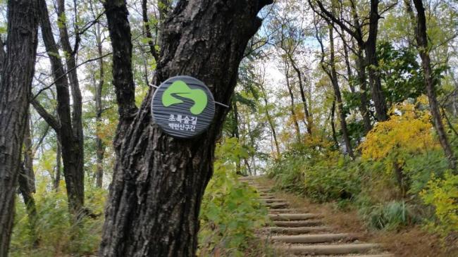 서대문 안산~백련산 8km 초록숲길 명품길 조성