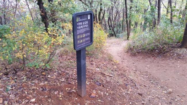 서대문 안산~백련산 8km 초록숲길 명품길 조성