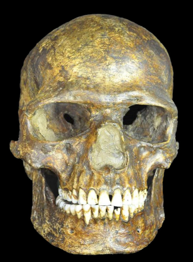 The Kostenki XIV skull   AP-Yonhap