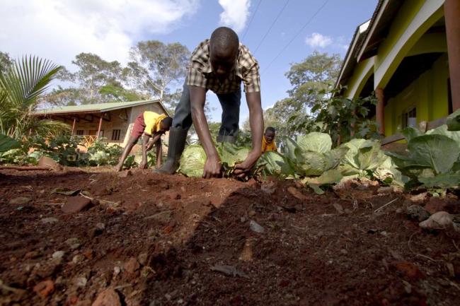 Duncan Senoga, a volunteer with Slow Food International in Uganda, helps students of Buiga Sunrise Primary School in Mukono district, Uganda. (AFP)