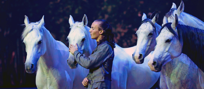 A horse whisperer instructs horses to stop, pose and run in circles around him.   Cavalia