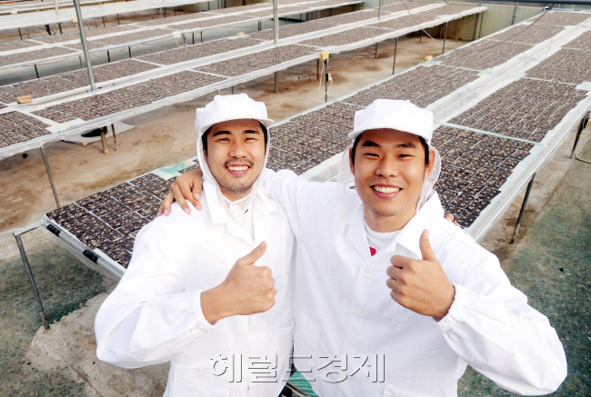 농촌총각 특집 김두환, 김성환씨. 전북 나뭔시. 박현구 기자phko@heraldcorp.com/ 2014.11.17
농촌총각 특집 김두환, 김성환씨. 전북 나뭔시. 박현구 기자phko@heraldcorp.com/ 2014.11.17
농촌총각 특집 김두환, 김성환씨. 전북 나뭔시. 박현구 기자phko@heraldcorp.com/ 2014.11.17