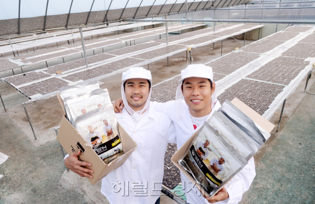 농촌총각 특집 김두환, 김성환씨. 전북 나뭔시. 박현구 기자phko@heraldcorp.com/ 2014.11.17
농촌총각 특집 김두환, 김성환씨. 전북 나뭔시. 박현구 기자phko@heraldcorp.com/ 2014.11.17
농촌총각 특집 김두환, 김성환씨. 전북 나뭔시. 박현구 기자phko@heraldcorp.com/ 2014.11.17