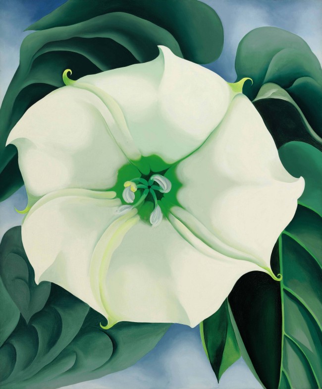This undated photo provided by Sotheby’s shows the Georgia O’Keeffe 1932 painting, “Jimson Weed/White Flower No. 1,” of a simple white flower, which has sold for $44.4 million, more than triple the previous auction record for a work by a female artist.   AP-Yonhap
