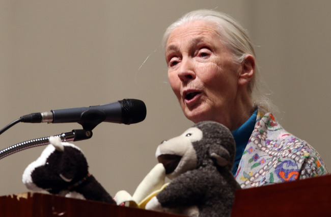 British primatologist Jane Goodall speaks during a lecture at Ewha Womans University on Tuesday.   Yonhap