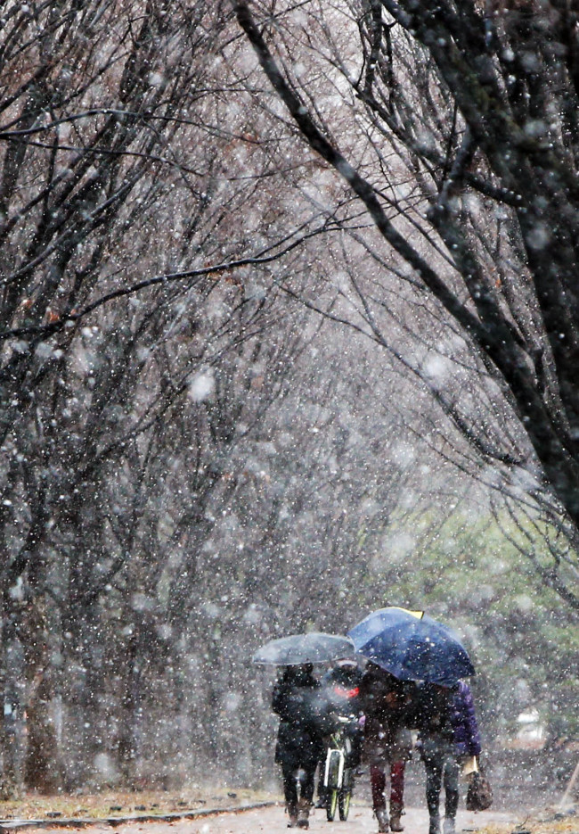 People walk through the snow in the central city of Daejeon on Monday. Cities including Seoul and Daejeon saw snow flurries on Monday morning. (Related story on Page 4)    Yonhap